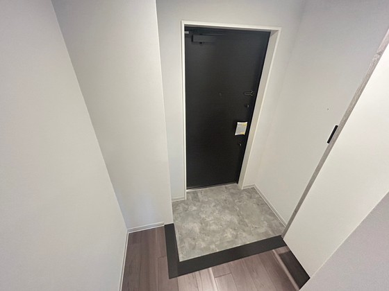 玄関　※別部屋の写真です