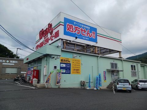 ドラックストア　ウォンツ温品店（ドラッグストア）まで300m