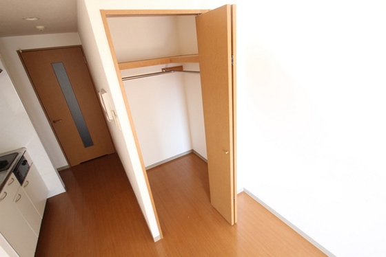 収納　※他部屋の写真です。