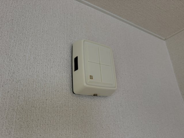 トスト・ミキのその他写真