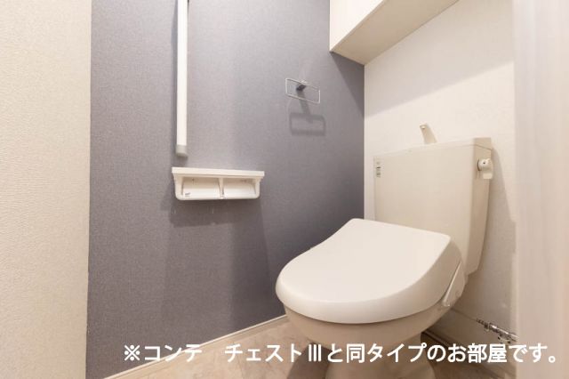 エリシオン・レジデンスVのトイレ写真