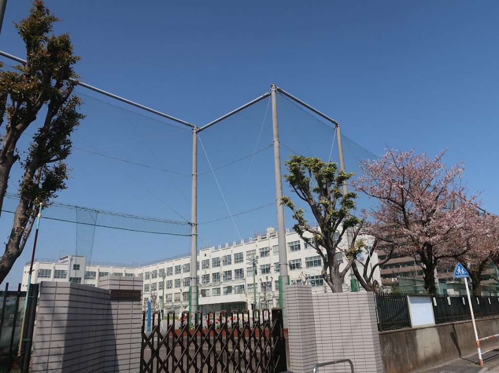小学校　足立区立辰沼小学校（小学校）まで538m