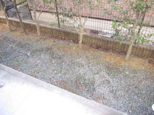 庭