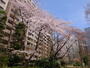 公園　五橋公園（公園）まで425m