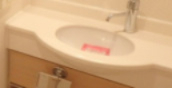 洗面設備　別部屋参考写真