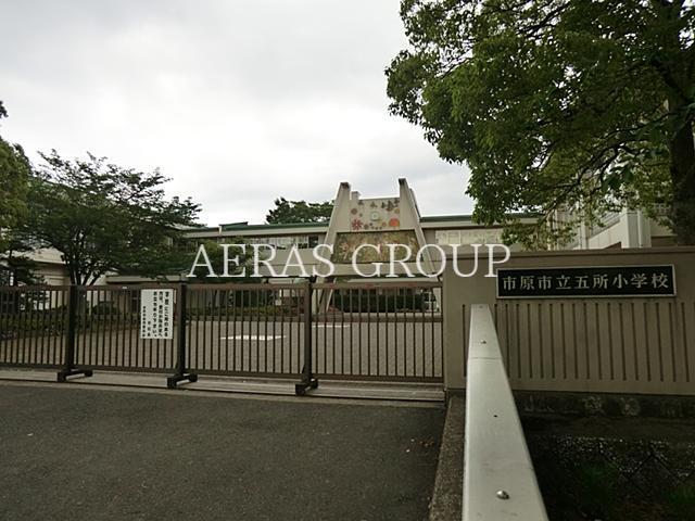 小学校　市原市立五所小学校（小学校）まで1518m