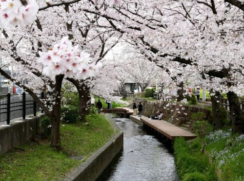 その他　二ヶ領用水宿河原取水口（その他）まで1446m