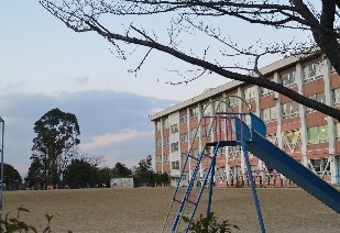 小学校　寝屋川市立国松緑丘小学校（小学校）まで263m