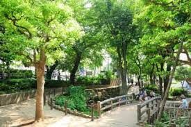 公園　幡ヶ谷第三公園（公園）まで657m