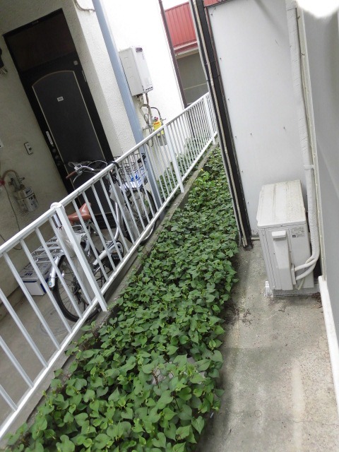バルコニー　※他の号室の写真になります