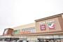 スーパー　ヨークベニマル桑野店（スーパー）まで500m