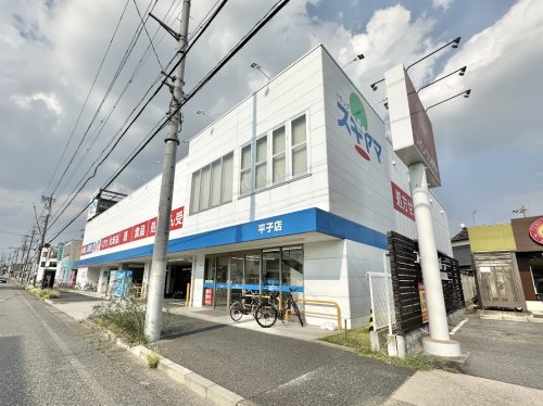 ドラックストア　ドラッグスギヤマ平子店（ドラッグストア）まで1173m