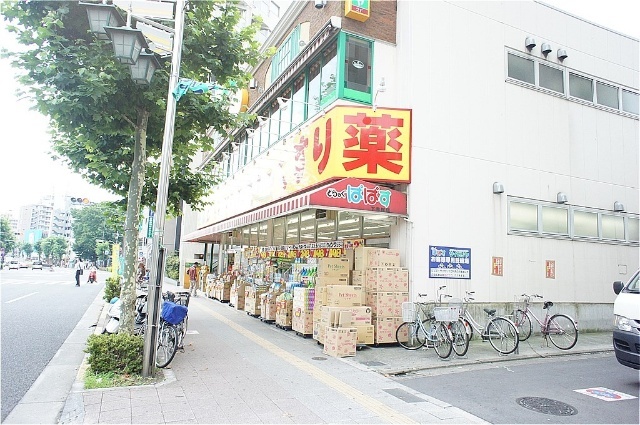 ドラックストア　どらっぐぱぱす下赤塚店（ドラッグストア）まで205m