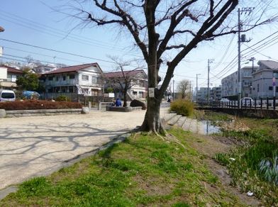 公園　丸子川親水公園（公園）まで216m