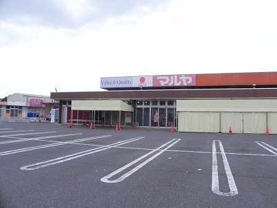 スーパー　マルヤ（スーパー）まで1500m