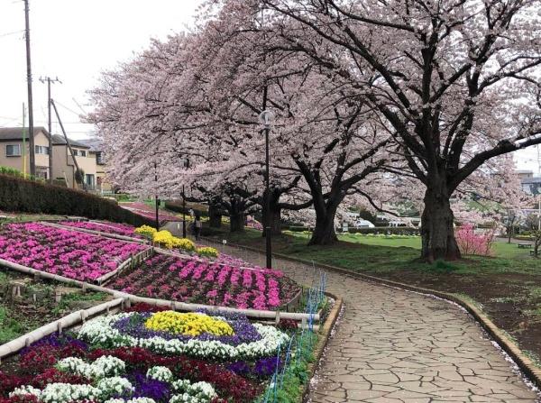 公園　かにが沢公園（公園）まで1283m