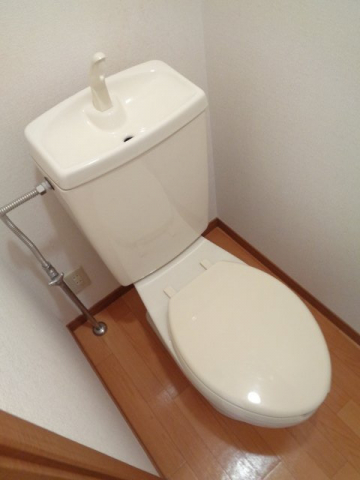 近江鉄道本線 桜川駅 徒歩14分 2階建 築22年のトイレ写真