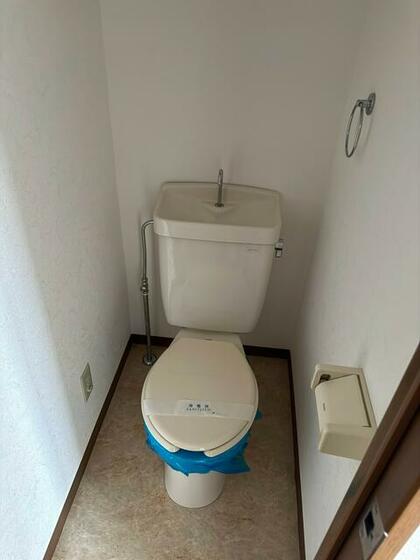 東武伊勢崎線 獨協大学前駅 徒歩6分 3階建 築33年のトイレ写真