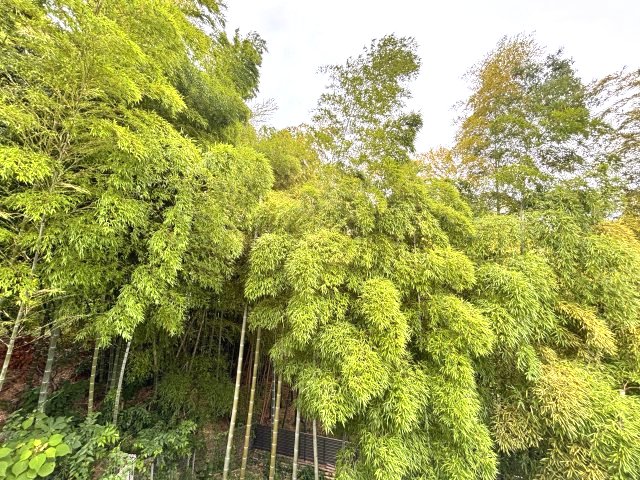 グランテラス千里中央のその他写真