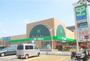 スーパー　サミット府中若松店（スーパー）まで150m