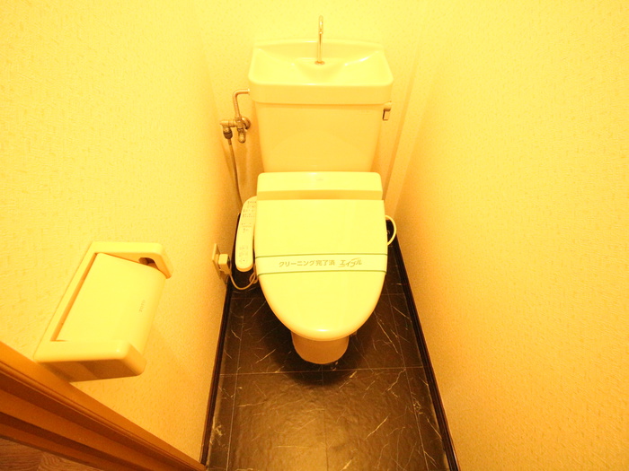 山本様今川貸家のトイレ写真