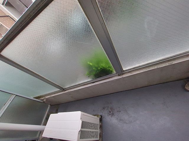 ホワイトハイツの内装写真