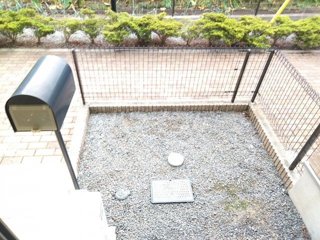 庭