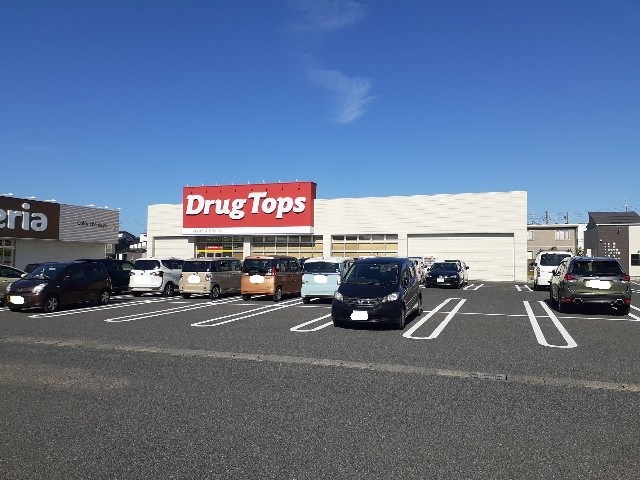 ドラックストア　ドラッグトップスかめだ三條岡店（ドラッグストア）まで650m