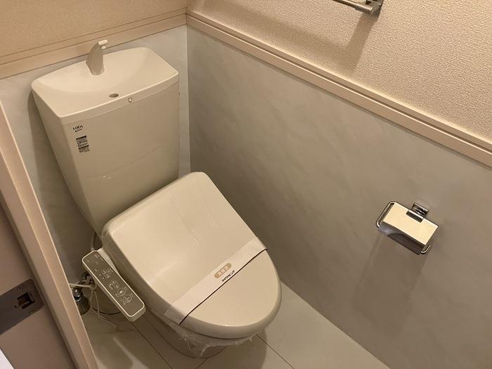 ドリーム下湯江B棟のトイレ写真