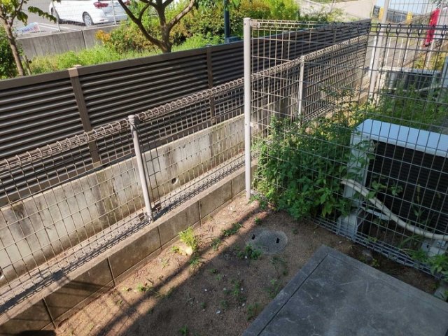 庭