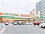 スーパー　ハローズ東古松店（スーパー）まで333m