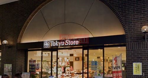 スーパー　東急ストア蒲田プラザ店（スーパー）まで220m