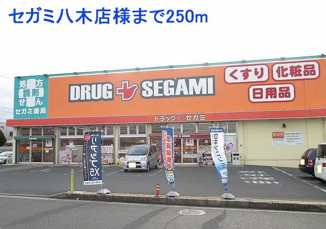ドラックストア　セガミ八木店様（ドラッグストア）まで250m