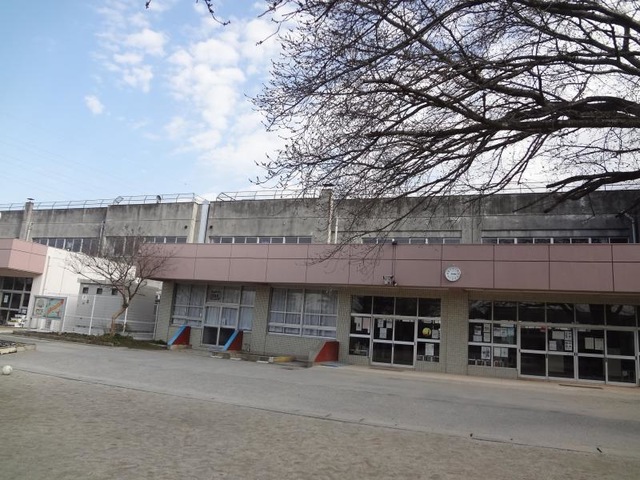 小学校　柏市立豊小学校（小学校）まで659m
