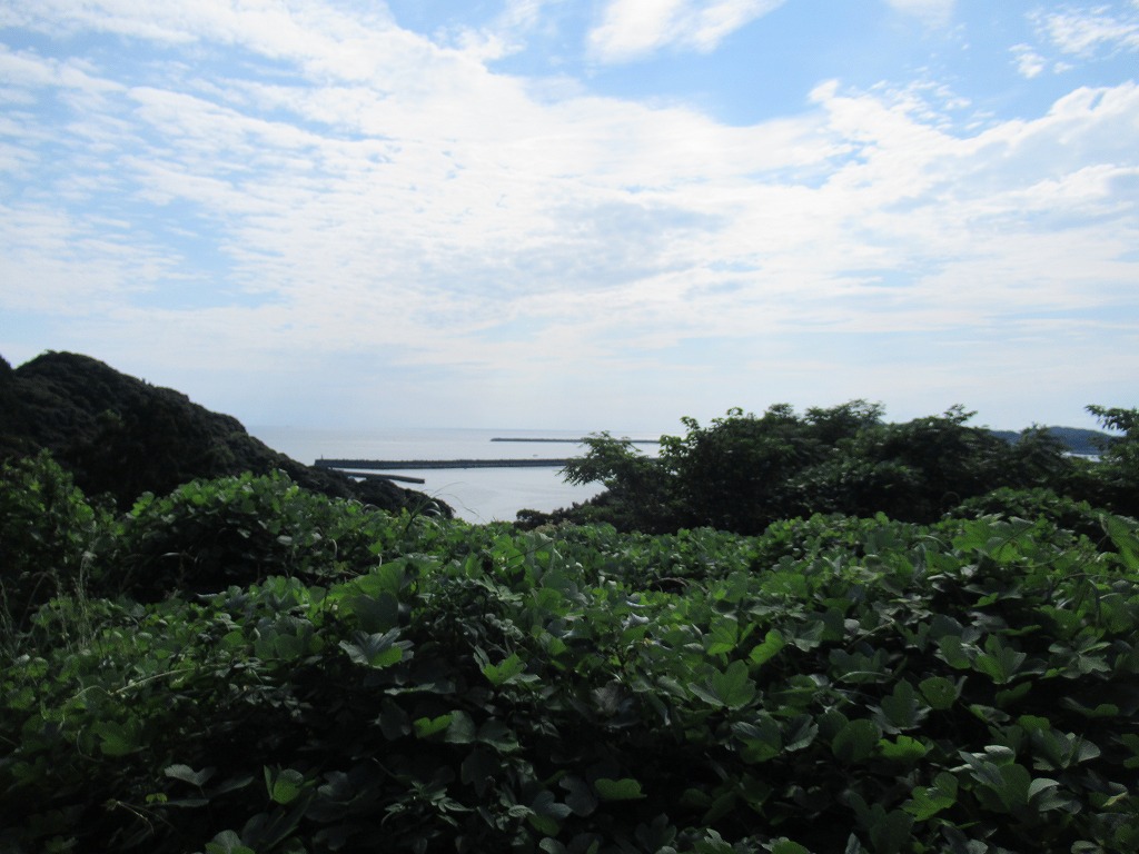 長崎市 2階建 築33年のその他写真