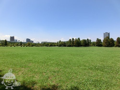 その他　【公園】辰巳の森海浜公園　多目的広場（その他）まで1570m