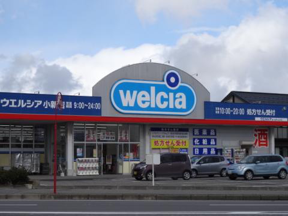 ドラックストア　ウエルシア新潟小新店（ドラッグストア）まで1160m