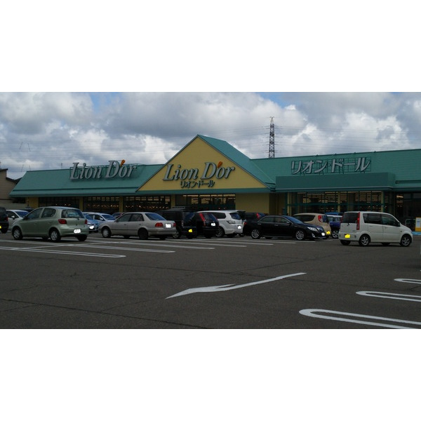 スーパー　リオン・ドール大崎店（スーパー）まで1212m