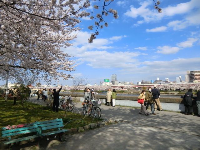 その他　隅田川リバーサイド（その他）まで10m