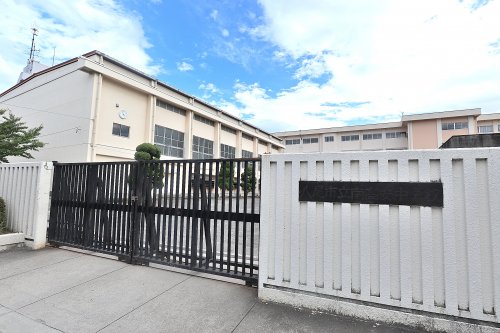 中学校　八尾市立南高安中学校（中学校）まで1268m
