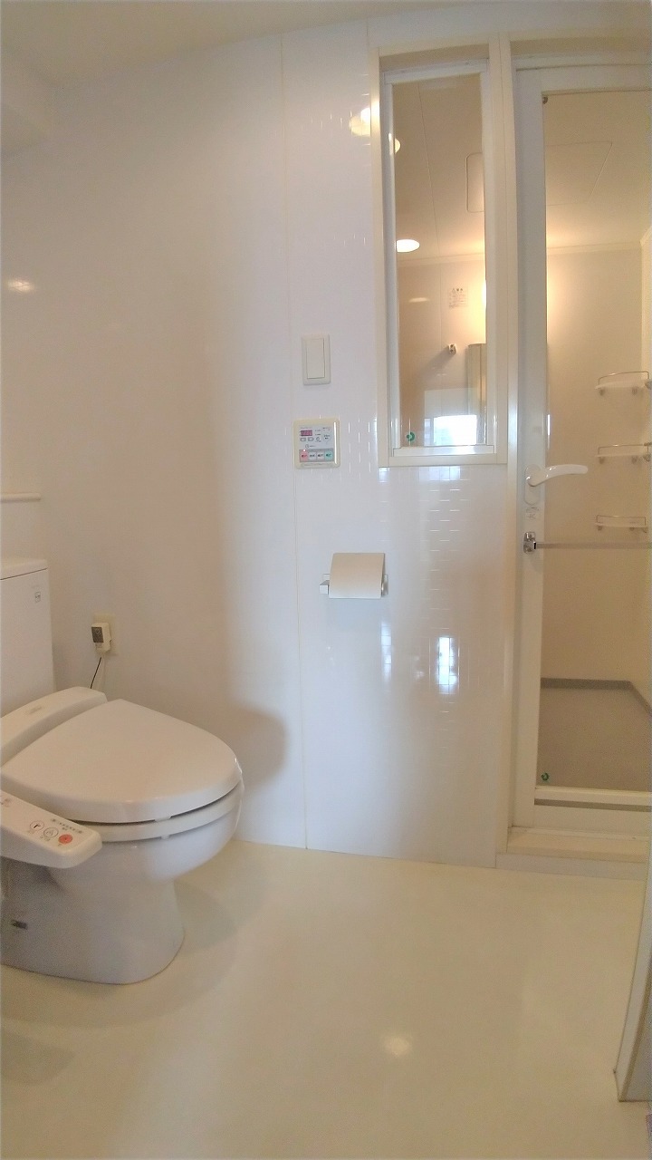 プラスヴァンドームサントルのトイレ写真