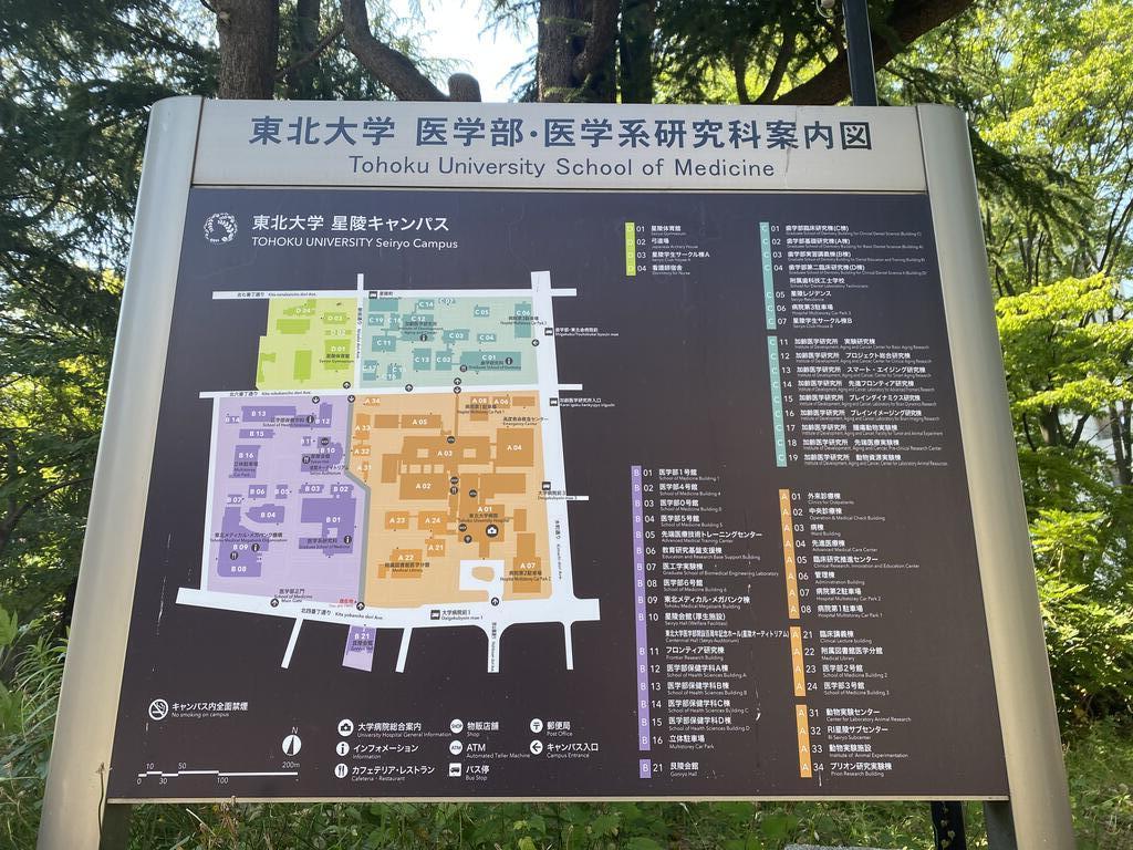 大学・短大　国立東北大学星陵キャンパス（大学・短大）まで263m