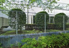 幼稚園・保育園　桜のこみち保育園（幼稚園・保育園）まで205m