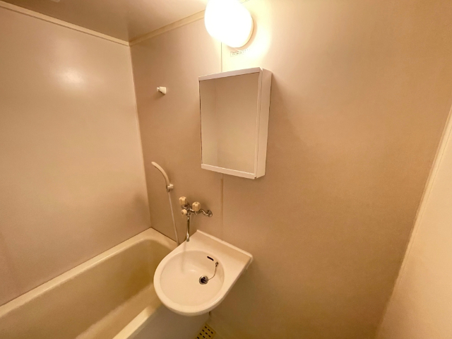 洗面設備　５０２号室のお部屋です。