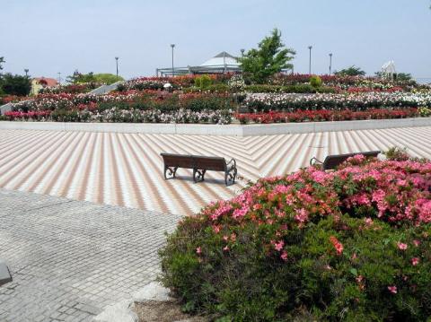 その他　緑町公園（その他）まで541m