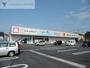 ドラックストア　ウエルシア新潟上木戸店（ドラッグストア）まで305m