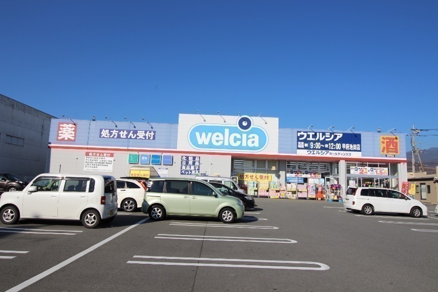 ドラックストア　ウエルシア甲府池田店（ドラッグストア）まで864m