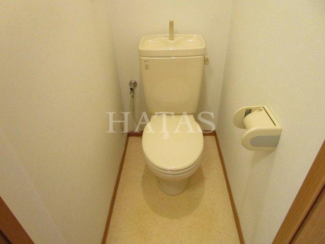 トイレ　同物件別部屋です。