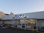 スーパー　サンディ 山科椥辻店（スーパー）まで1178m