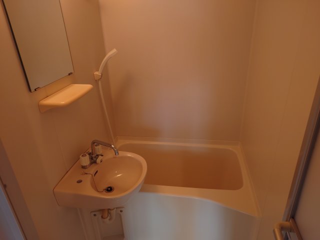 バス・シャワールーム　コンパクトで使いやすいお風呂です